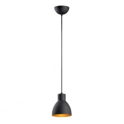 Cora 1-Light Black/Gold Pendant by Maxim Lighting
