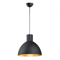 Cora 1-Light Black/Gold Pendant by Maxim Lighting