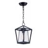 Artisan 8 in. Wide Black 1-Light Outdoor Hanging Lantern by Maxim Lighting
