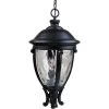 Camden VX 3-Light Black Outdoor Hanging Lantern by Maxim Lighting