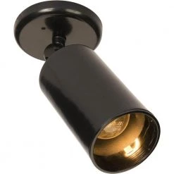 Spots 1-Light Black Flushmount by Maxim Lighting