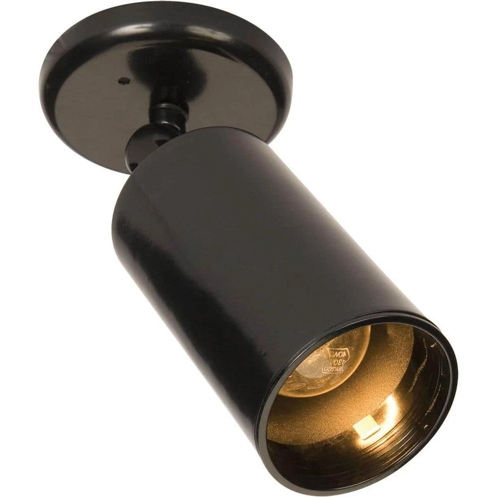 Spots 1-Light Black Flushmount by Maxim Lighting 1 Spots 1-Light Black Flushmount by Maxim Lighting