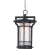 Oakville 12 in. Wide Black Oxide 1-Light Outdoor Hanging Lantern by Maxim Lighting