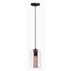 Firefly 1-Light Black/Satin Brass Pendant by Maxim Lighting