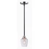 Goblet 1-Light Black/Satin Nickel Pendant by Maxim Lighting