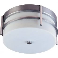 Luna 11 in. Wide Brushed Metal 2-Light Outdoor Flush Mount by Maxim Lighting