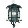 Scottsdale 3-Light Country Forge Outdoor Hanging Lantern by Maxim Lighting