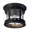 Santa Barbara Cast 1-Light Sienna Outdoor Flushmount by Maxim Lighting